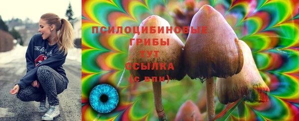 mdpv Арсеньев