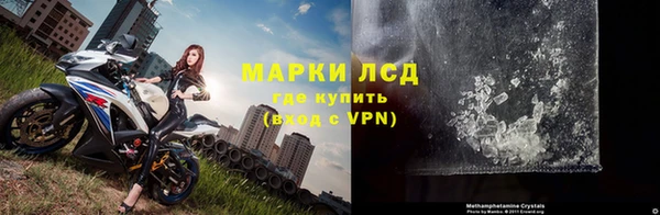 стафф Аркадак