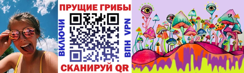 МЕГА ссылки  сколько стоит  Северобайкальск  Галлюциногенные грибы Cubensis 