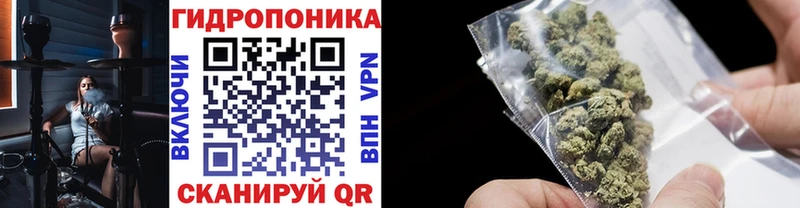 Шишки марихуана тримм Северобайкальск